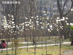 -解放人民公园