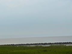 -南汇嘴观海公园
