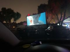 -枫花园汽车电影院(朝阳公园店)