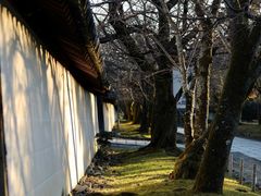 -醍醐寺