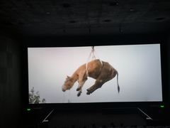 -CGV星星影城(颐堤港ScreenX店)