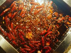 -二荆条·蜀鲜汇城市森林火锅