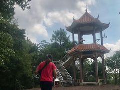 -广州白江湖森林公园