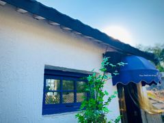 -Sirena海妖日咖夜酒