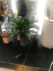 点击看大图 -苑苑发型设计