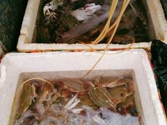 -许村蟹面(海宁许村大道店)