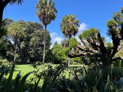 -墨尔本皇家植物园