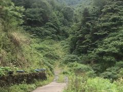 -龙窝子
