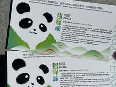 -中国大熊猫保护研究中心雅安碧峰峡基地