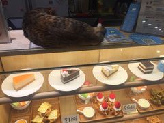 -猫的天空之城概念书店(杭州南宋御街店)