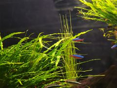 -上海海洋水族馆