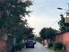 -特克斯八卦城