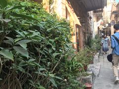 -小洲村