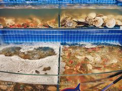 水产区-乔哥铭洋海鲜自助(皇城恒隆广场店)