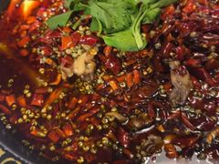 -蛙老爹·蜀香美蛙鱼头(王家湾店)