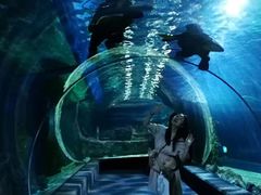 -暹罗海洋世界