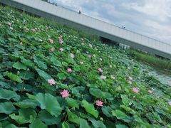 -哈尔滨大剧院
