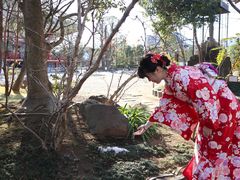 -东京浅草和服体验江户和装工房雅(浅草本店)