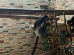 -全家便利店(沪青平公路四店)