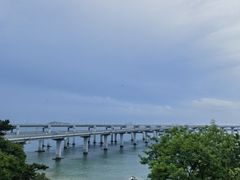 -添福来墨鱼饺子 · 海鲜东北菜(大连星海·黄浦路店)