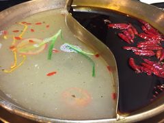 -杨家火锅(国美店)
