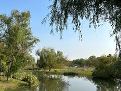 -梁鸿国家湿地公园