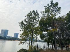 -美兰湖景区