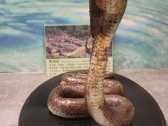 -下渚湖国家湿地公园科普馆