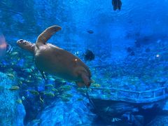 -横店影视城梦幻谷园区