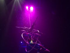 -珠海横琴长隆《卡卡虎奇遇记》