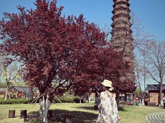 -樱桃沟景区