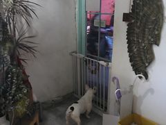 -小时光咖啡馆(北锣鼓巷店)