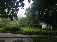 -光明港公园