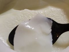 -志龙皇冠吃货椰子铺