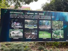 -南宁良凤江国家森林公园