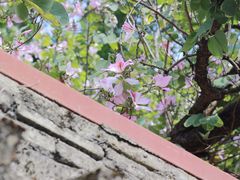 -洲头咀公园