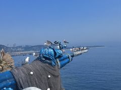 -大连老虎滩海洋公园