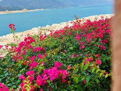 -三亚南山文化旅游区