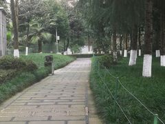 -龙头寺公园