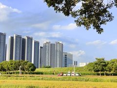 -光明小镇欢乐田园