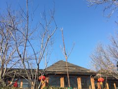 -仁爱团泊湖温泉中心