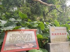 -硇洲岛旅游区