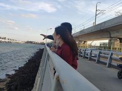 -海堤纪念公园