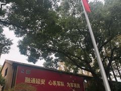 -上海延安饭店
