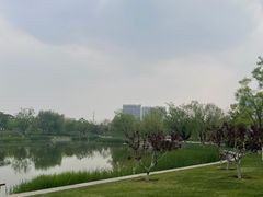 -西海子公园