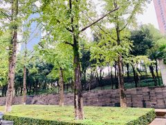 -重庆市江北嘴中央商务区中央公园