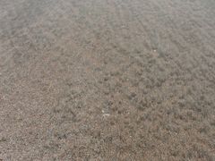 -嵊泗基湖沙滩