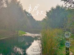 -长白岛森林公园