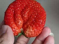 -涵家味土菜馆·徽州一绝臭鳜鱼(三河古镇店)