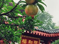 -西安华清御汤酒店